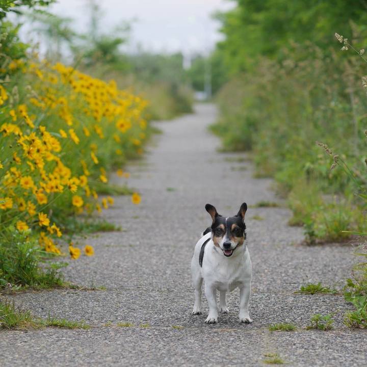 5b6ef5da 018c 46f3 bea1 cf16a5630df3