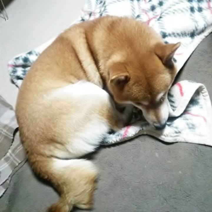 5b6f6125 3103 4d8b a033 9fde4182ff8e