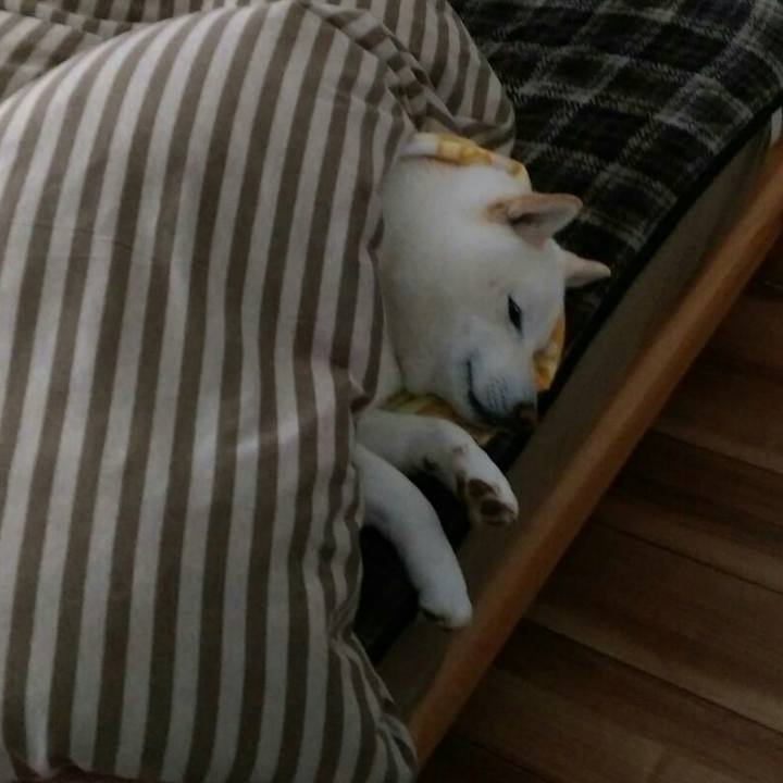 5b70b1b8 e09c 479a b0ee a9d3d32aba8e