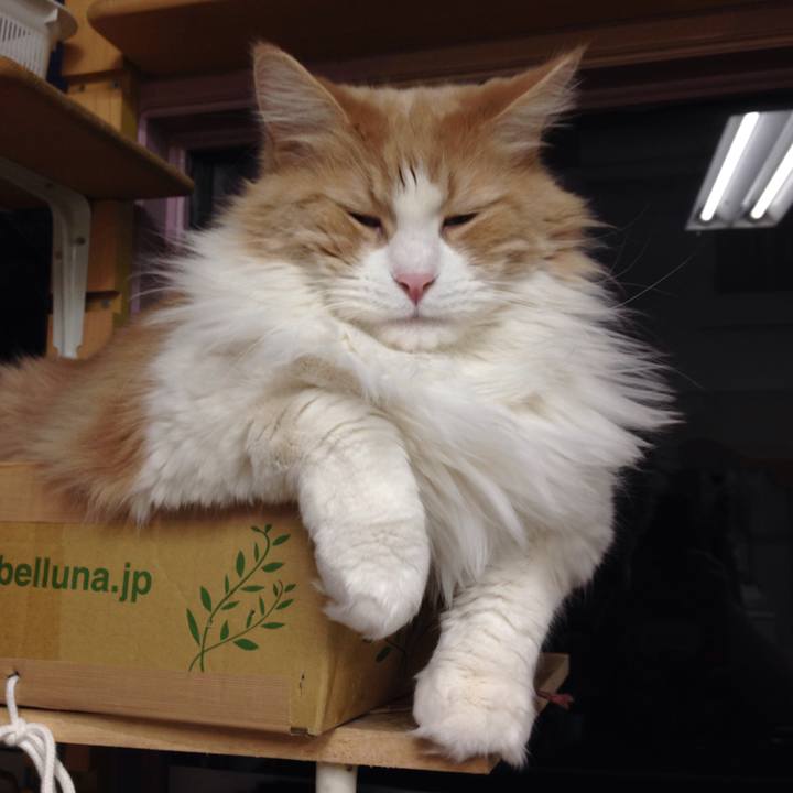 5b716fc0 d19c 4dc4 a7b9 2673b3643b18