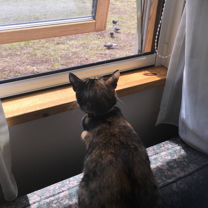 5b726cf8 ed80 4f54 891d e8f1a50899bc