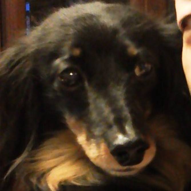 5b72acd7 4a6f 497c b9ef 8848e27d4851