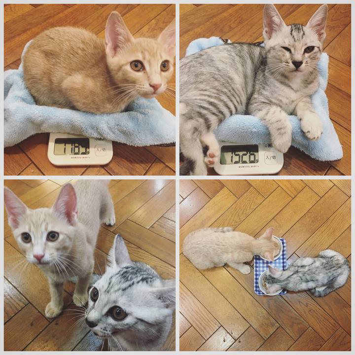 5b72e43a d41c 4546 8211 b1c578a1abf7