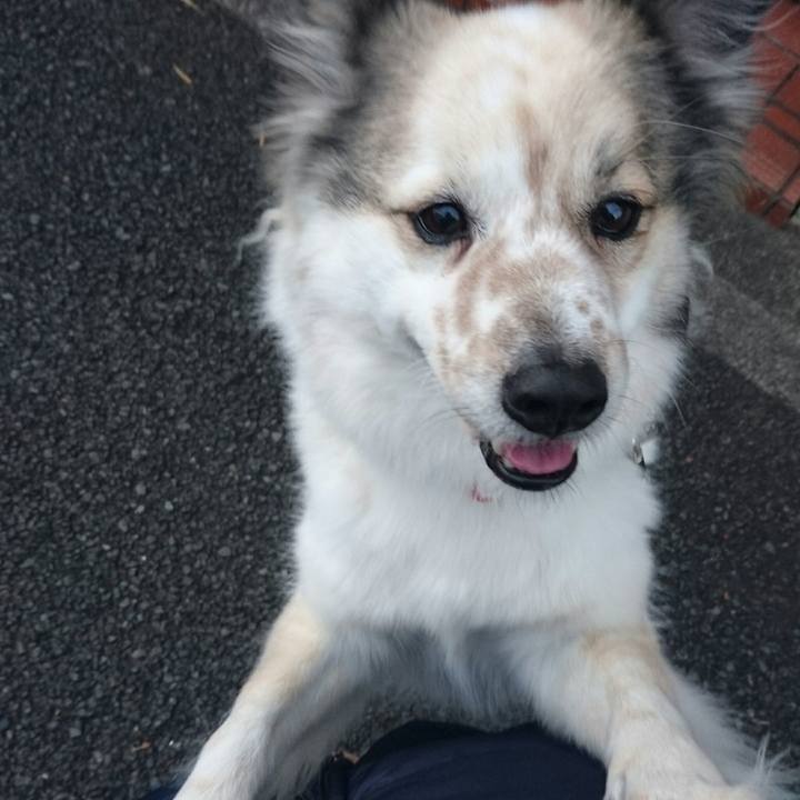 5b7308f9 5500 4aed b69c e9a85cb23cca