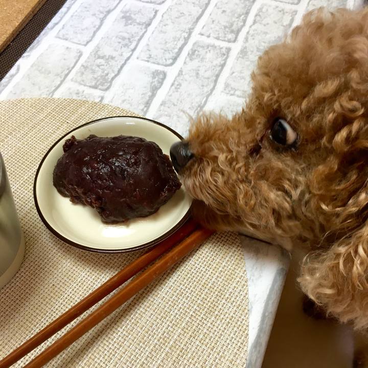 5b7308fa 41ce 484d 83d0 01c54f4007b0