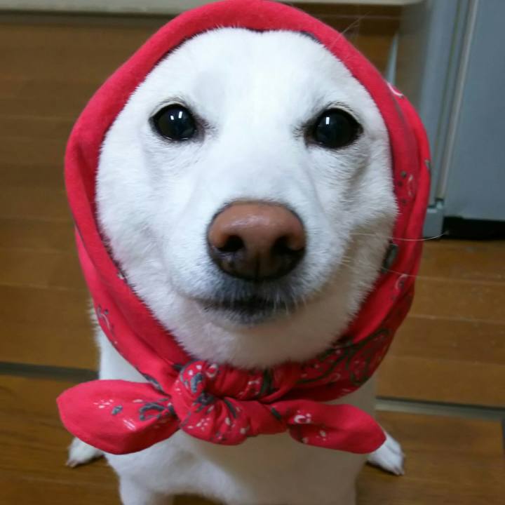 5b738a44 16d8 4493 bf9d fd4fbd7212ab