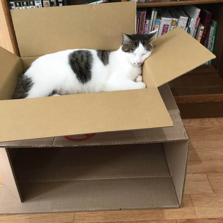 5b73e0c5 4469 4593 a089 3eda4ae05651