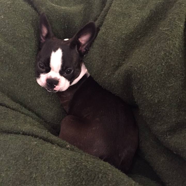 5b745b46 4d30 41ee bdd6 73a75a9a3bc7