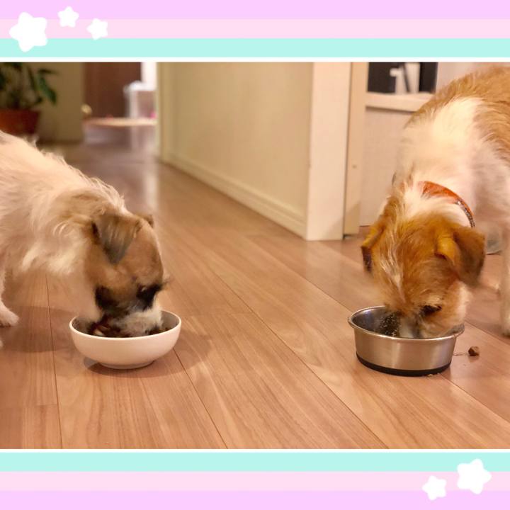 5b7523b2 ac98 4a75 a27b e146fbc93273