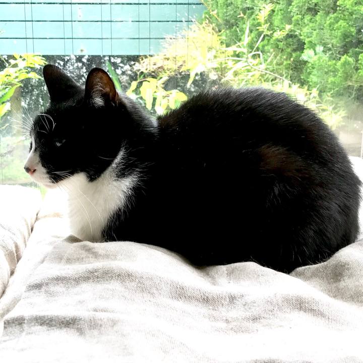 5b753ac5 3a95 4f03 b3a3 457ede648ade