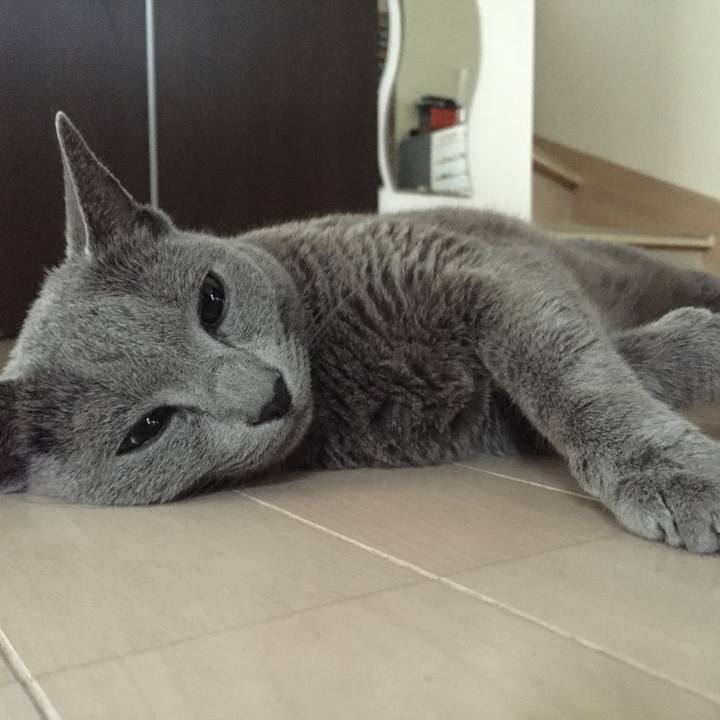 5b75ece0 5b53 402d 8bd5 b5fc2504318f