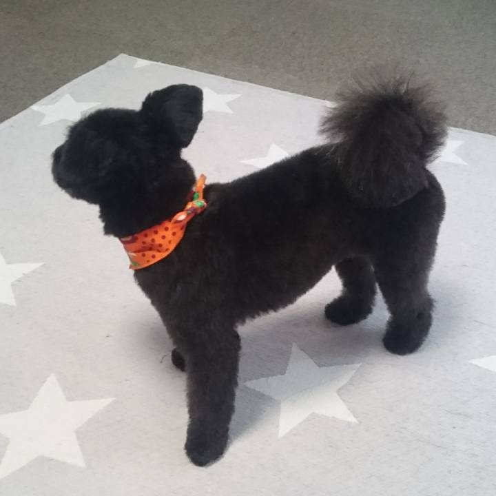 5b76b528 9c88 40df b5a1 dce363777a39