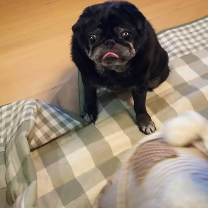 5b789eb4 c55b 43f0 8fbf fe04910922e8