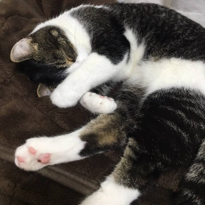 5b78e9c6 5a7e 4150 98e2 1b50d6c0975d