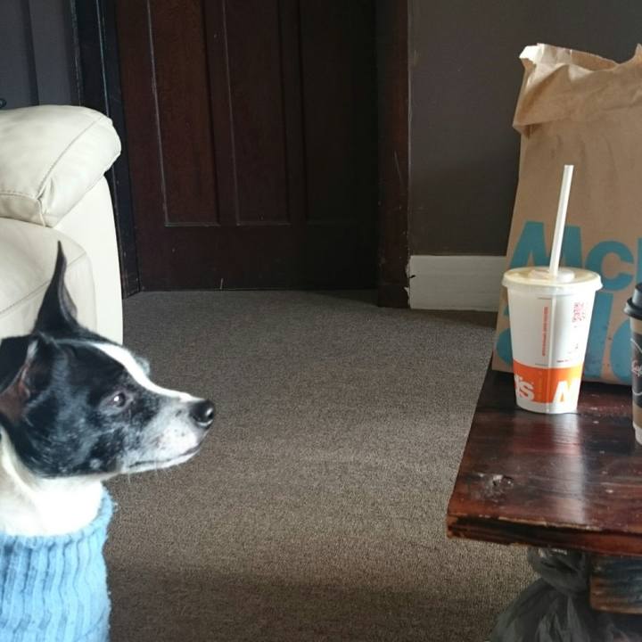 5b78f92e 24e9 400a b05f 1867090d9b97