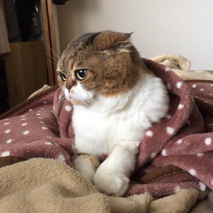 5b790fde 276c 4623 a2d4 690fc08ae355