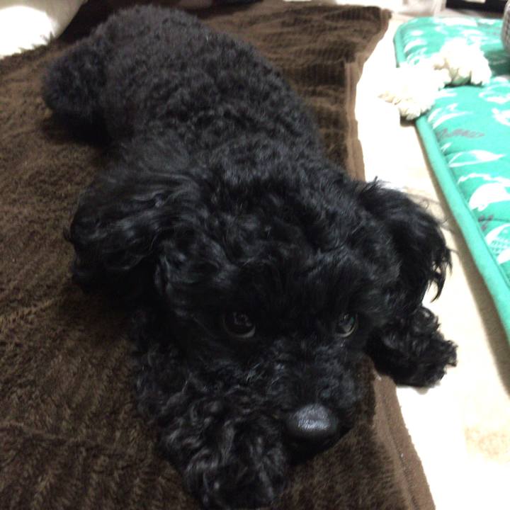 5b79fd87 66d9 4b46 be27 892f052fd47c