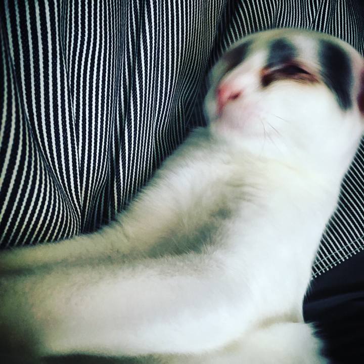 5b7a896d 196f 43aa ace1 b63c5abcbe1d