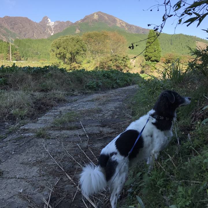 5b7aa31d a8c6 4825 860c dd6b0937462b