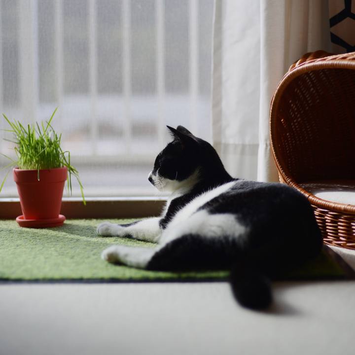 5b7b46c7 465c 4c67 9772 08c919344c1b