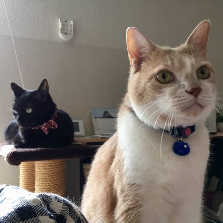 5b7c039a f3a7 49f1 932c 74ea34de3cf0