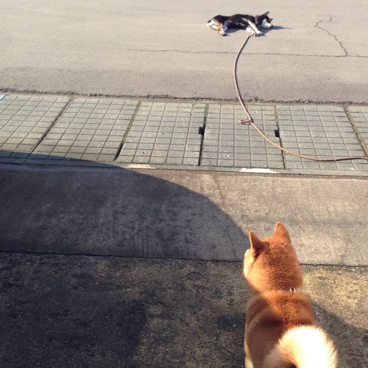 5b7c07fa 8183 4cbb b019 3f598ea3f9e2