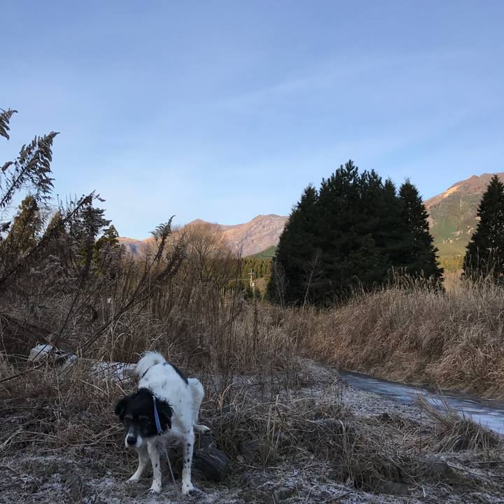 5b7c0d02 62e6 4928 9624 aa35e1c108b6