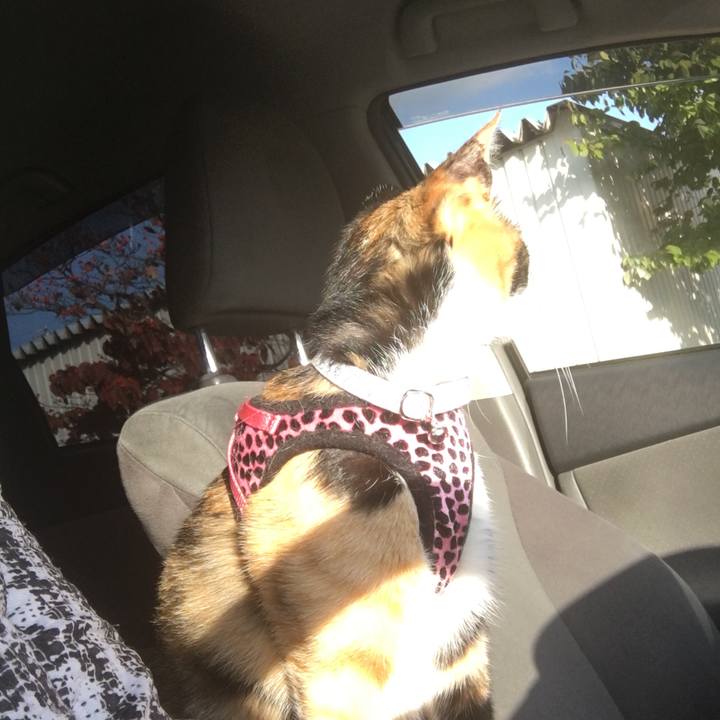 5b7c8988 a48e 4c06 8116 742c822ccd18