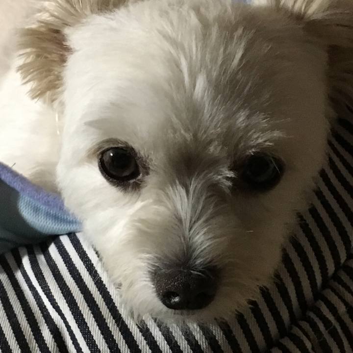 5b7ca90c 0b25 4c2d 8674 fd960788988c