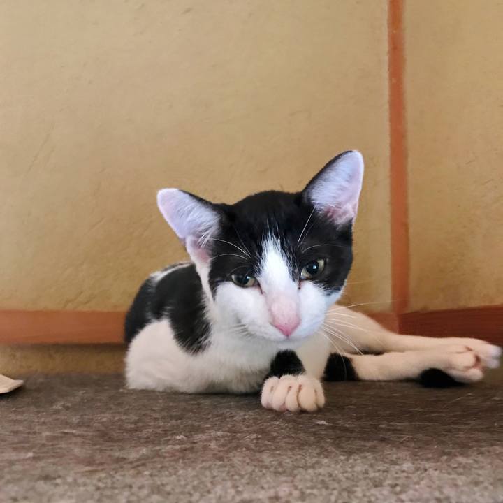 5b7d7044 aff0 4e08 8191 d434fcb3cfc9