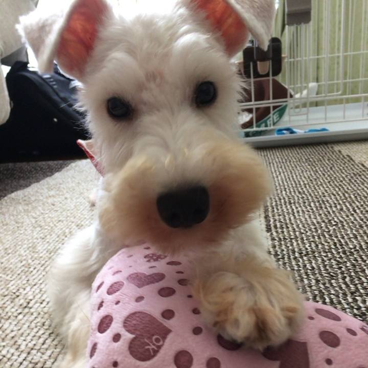 5b7db141 878a 45f3 a19b bf4331c3a064