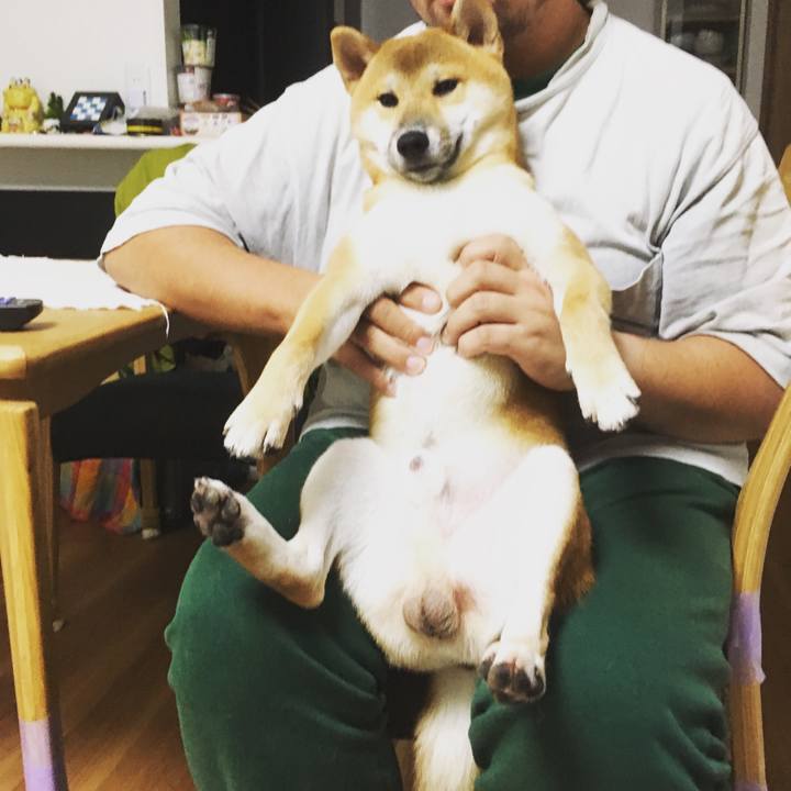 5b7e53de d859 4aa4 aaa9 0ba8fee0a45b