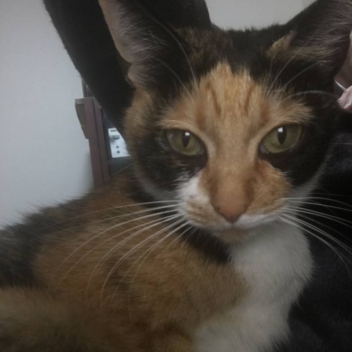 5b7e8eb6 212e 4530 8413 7212c78b387e