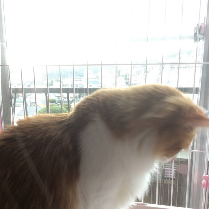 5b7f16f5 5dc3 4de6 8fd3 f309d68c6c6f