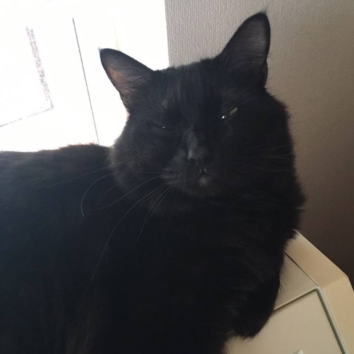 5b7f498f 3369 4c64 9502 e01d8af51faf