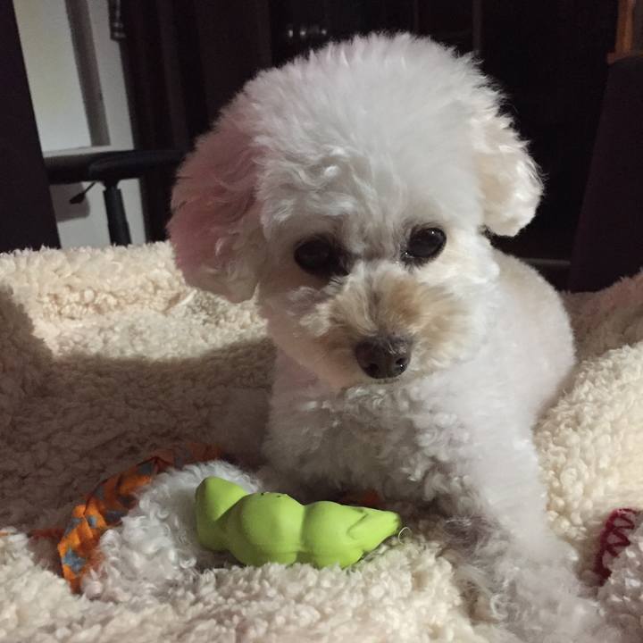 5b7f83bb 4921 44b7 b971 2c9e42847e9d