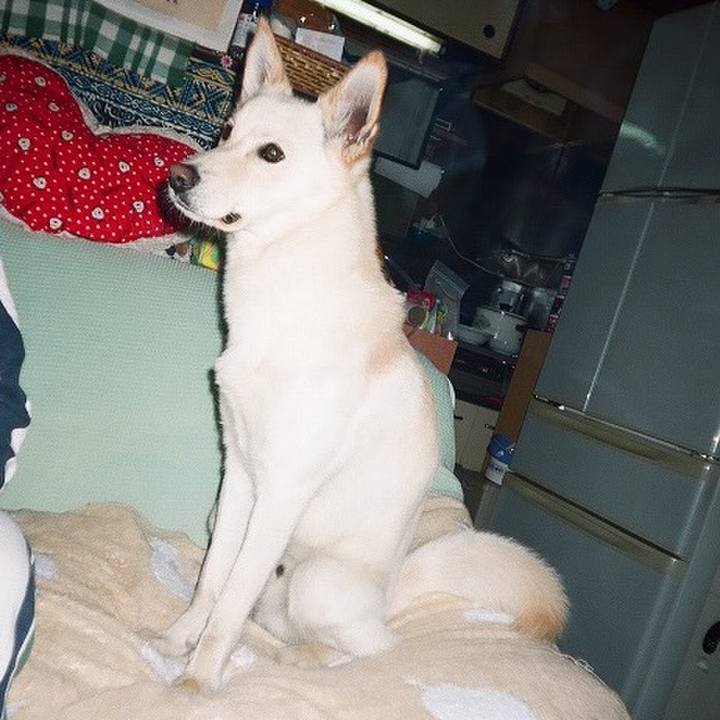 5b7ff145 dea4 4eb4 ac83 42e14aeca305