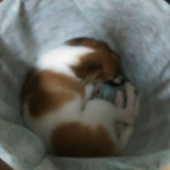 5b8074f3 90a2 4c3c adce 473a76d5a3d1