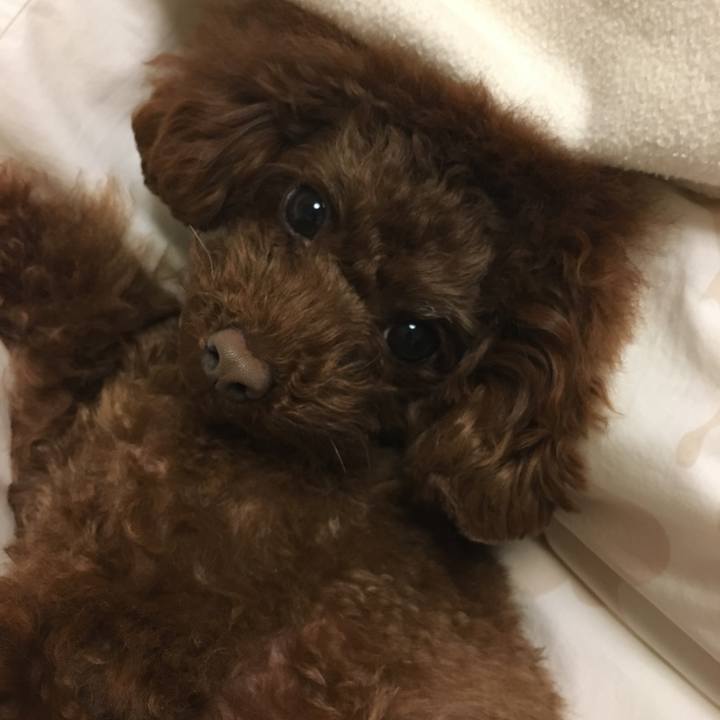 5b80b74a e294 4a66 8f03 23791998f438