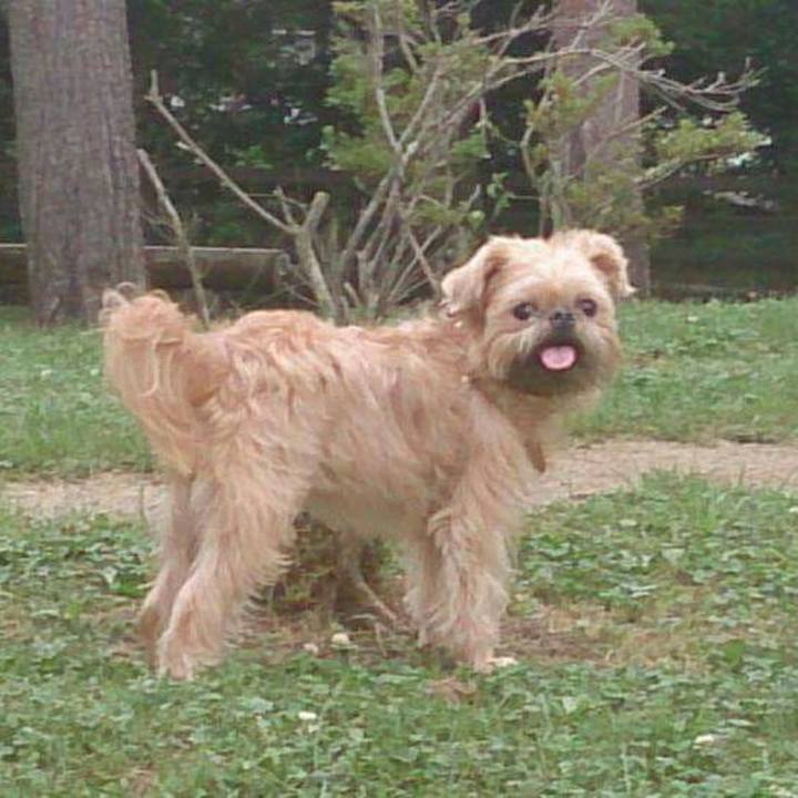 5b80dfa1 837b 4b3d 92c9 395497e42abf