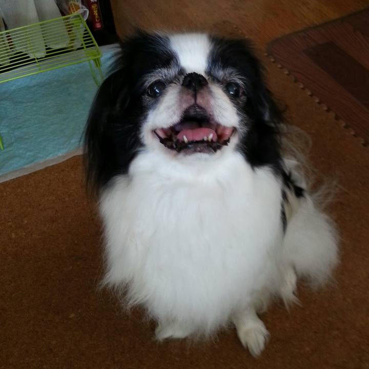 5b81fcae 1824 442c 9254 8bfcc48d12bb