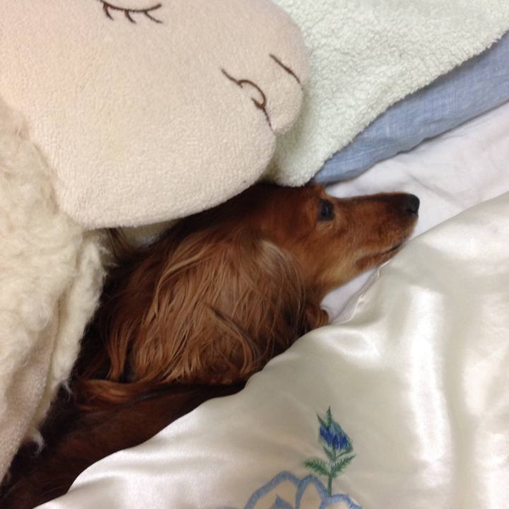 5b82465a 7455 408f 8639 e24cb60a8093