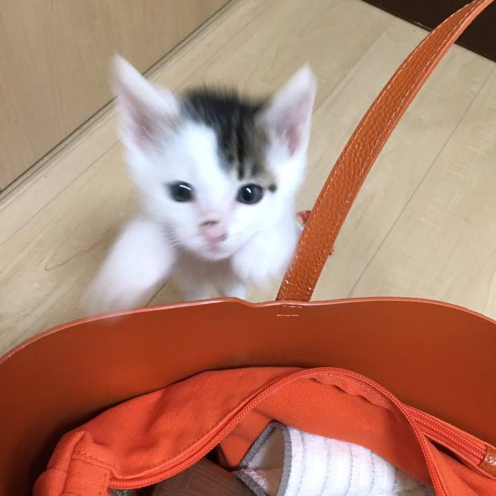 5b827719 4705 4dc9 8010 efd9e9f476f2