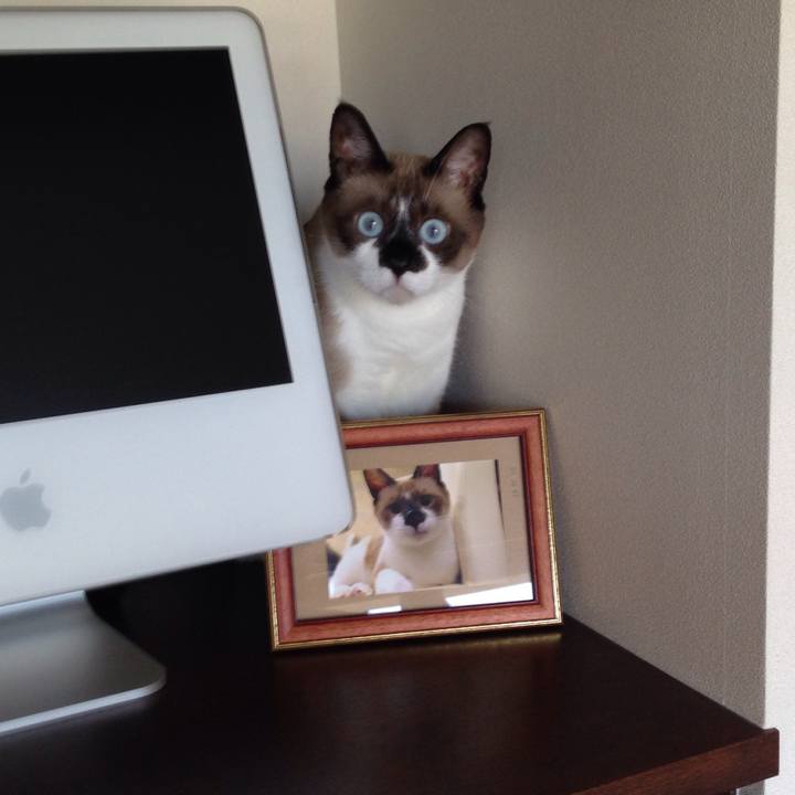 5b829ec5 2162 4a8e a03f 869221b91158