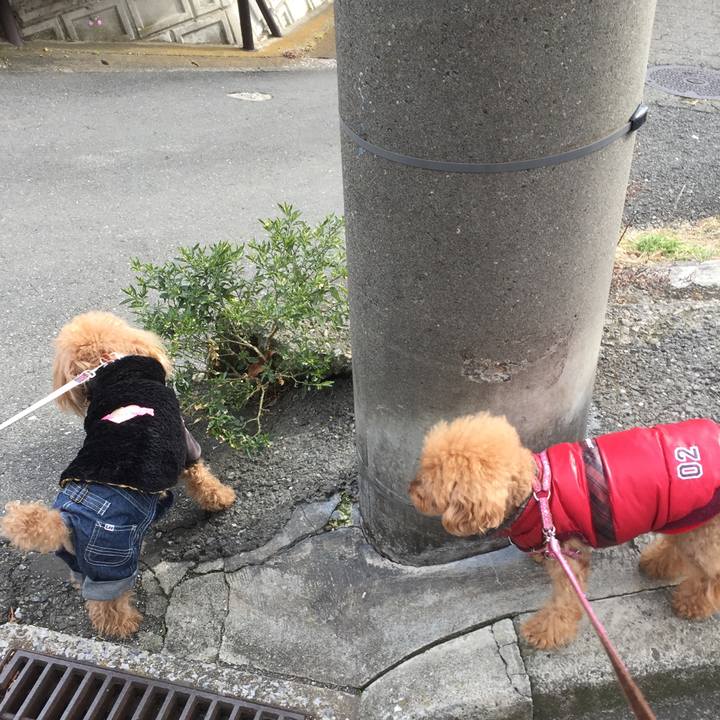 5b82f0bf 6248 43e8 8ccb 029faf8c1f60