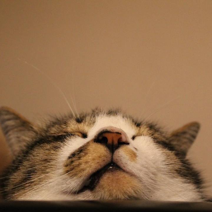 5b834945 1712 45b3 ab83 9d6df10cf11a