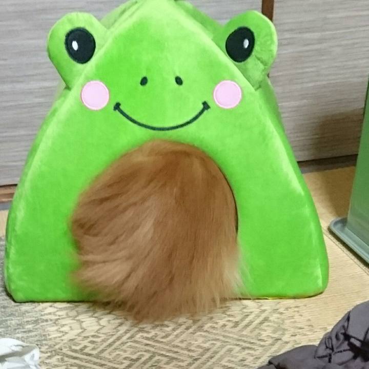 5b837037 7311 4480 a94c c1ad98c16b3c