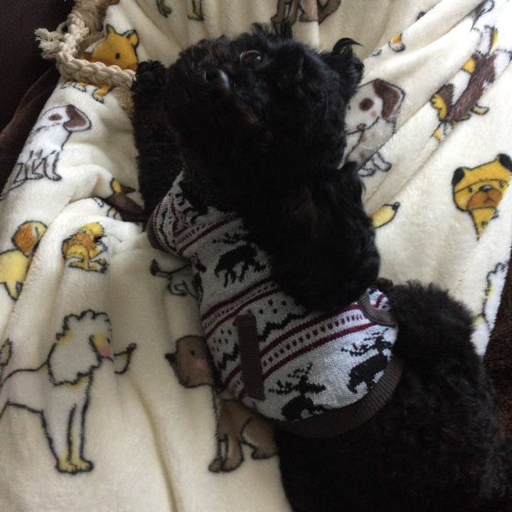 5b83d21a 3ad0 45ed 9dde c6cf4a79db42