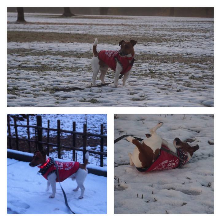 5b83f90f ff2d 469c aa75 eae1b38ec8da