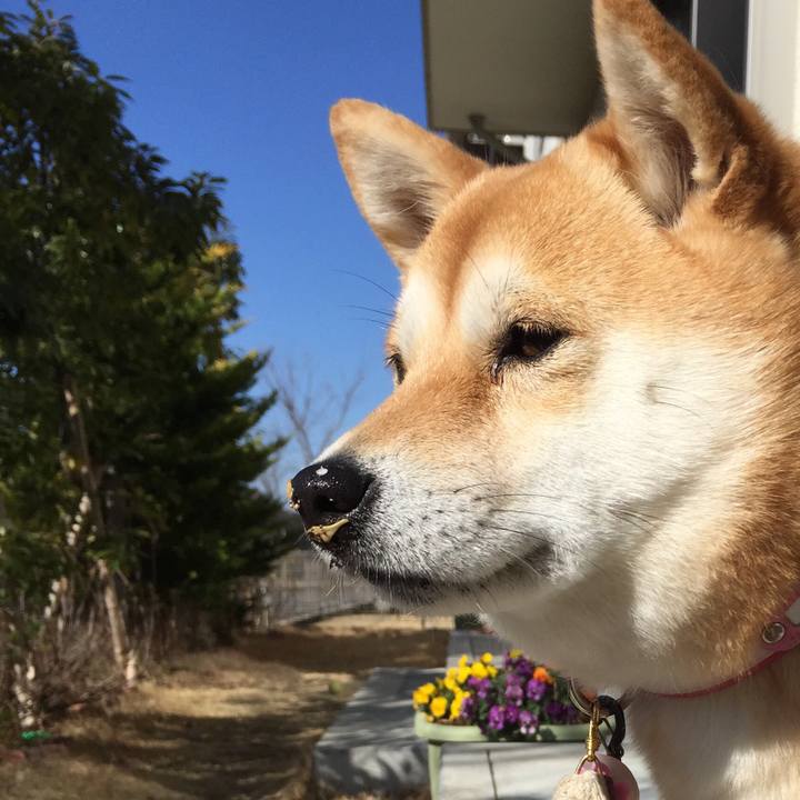 5b846b94 c70c 4688 91b2 f47f83d99834